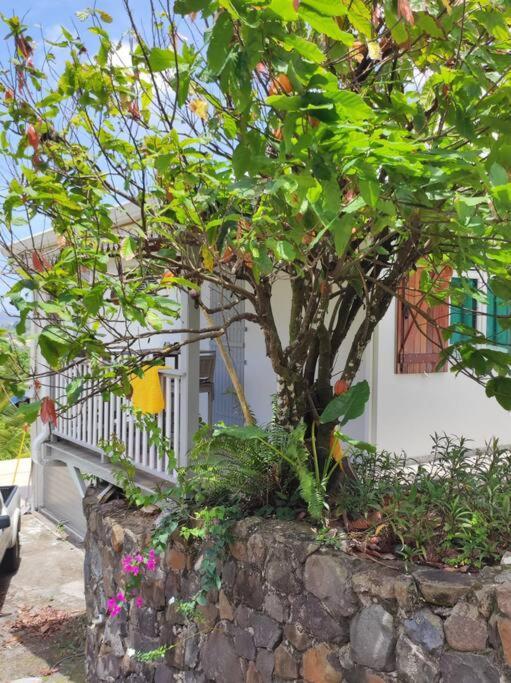 Apartamento Le Cacaoyer Trinite  Exterior foto